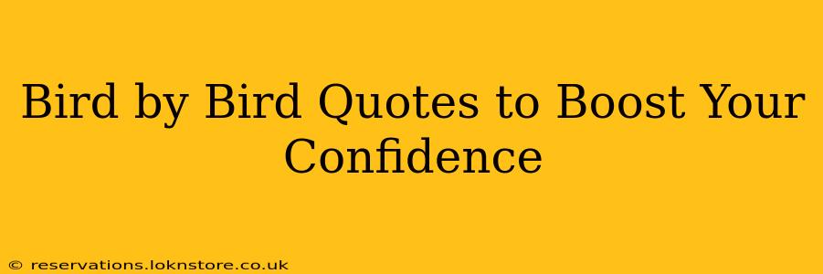 Bird by Bird Quotes to Boost Your Confidence