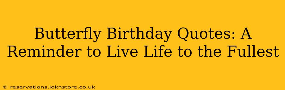 Butterfly Birthday Quotes: A Reminder to Live Life to the Fullest