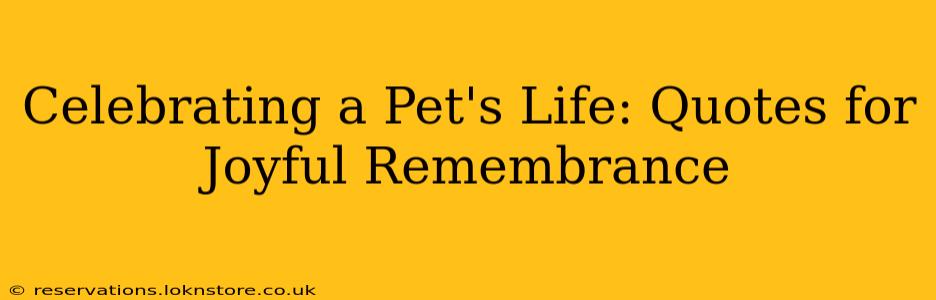 Celebrating a Pet's Life: Quotes for Joyful Remembrance