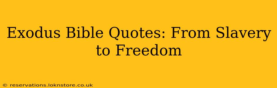 Exodus Bible Quotes: From Slavery to Freedom