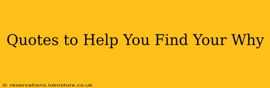 Quotes to Help You Find Your Why